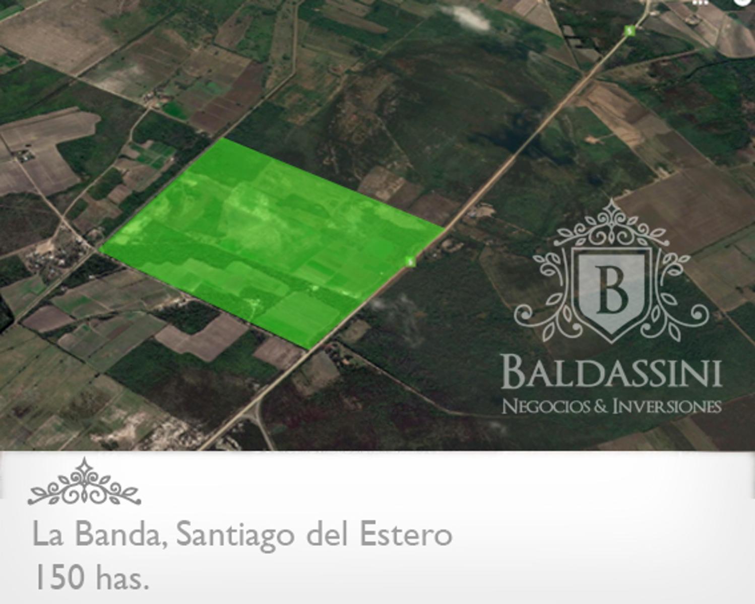 Campo 150 HAS Agrícola, en La Banda, Santiago del Estero - 2