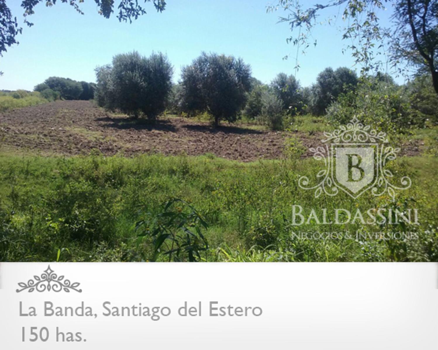 Campo 150 HAS Agrícola, en La Banda, Santiago del Estero - 3