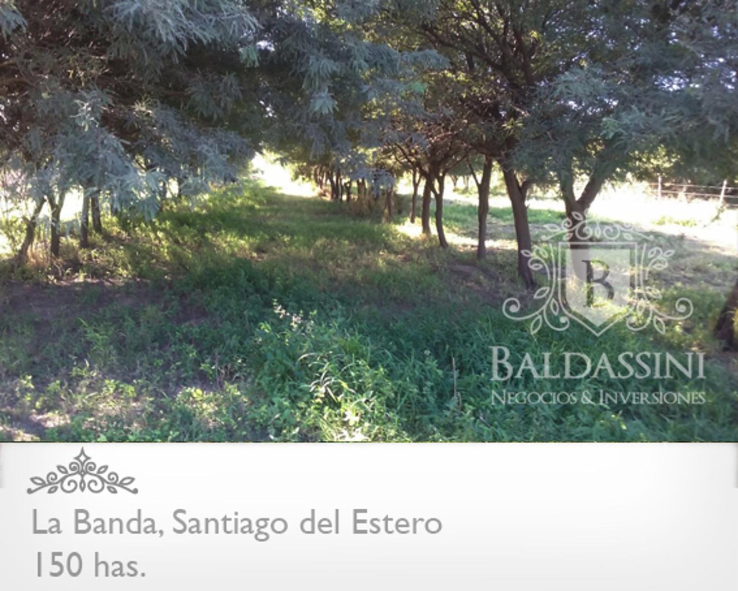 Campo 150 HAS Agrícola, en La Banda, Santiago del Estero - 6