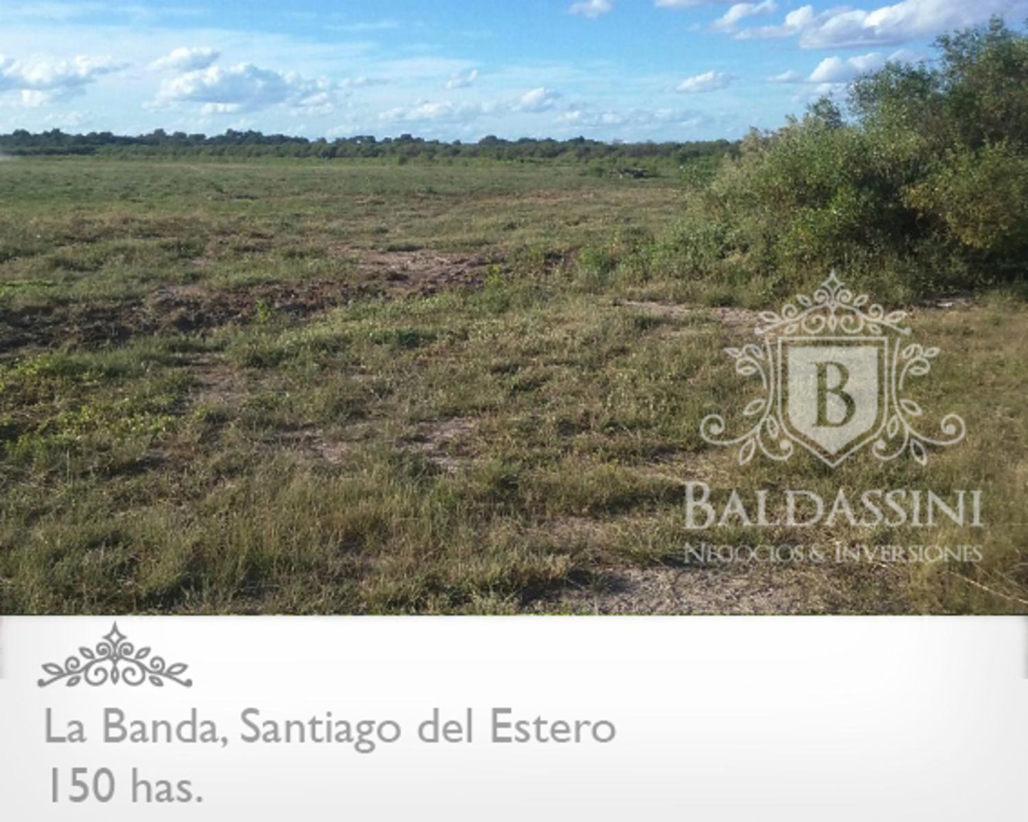 Campo 150 HAS Agrícola, en La Banda, Santiago del Estero - 7