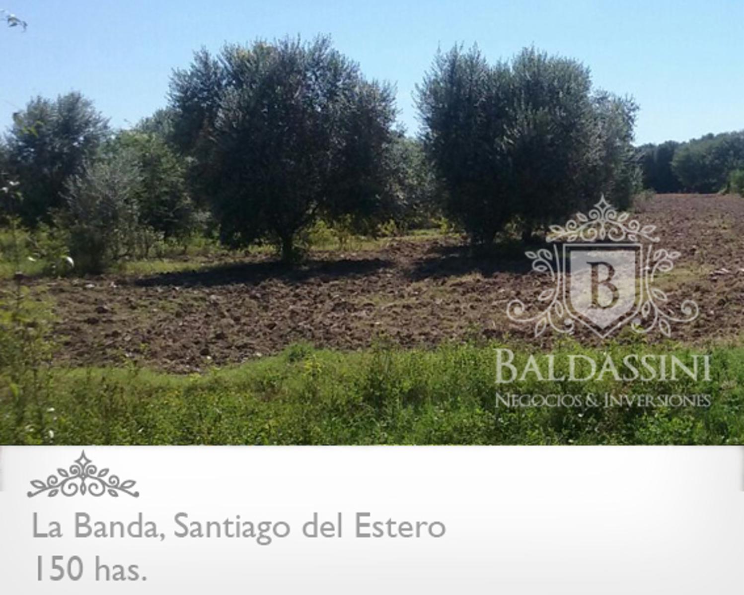 Campo 150 HAS Agrícola, en La Banda, Santiago del Estero - 8
