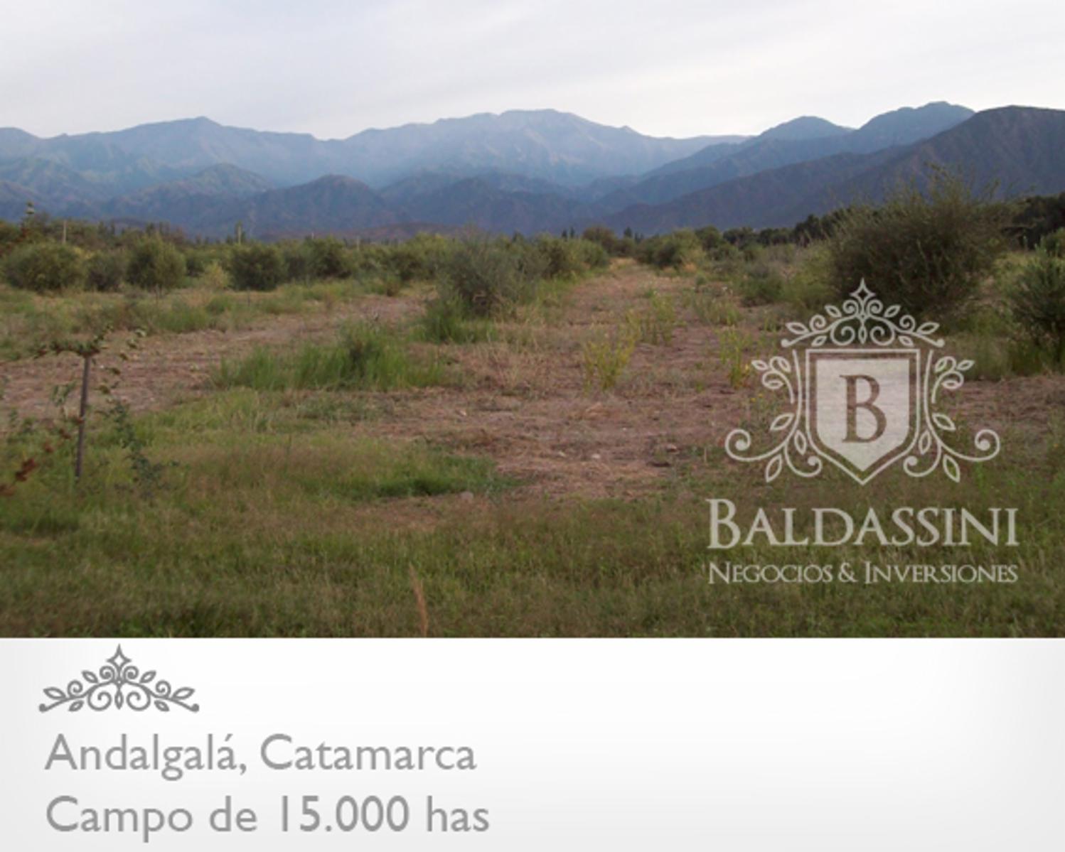 CAMPO DE 15.000 HAS EN ANDALGALÁ - CATAMARCA CERCA DE LA RUTA 46 - u$s 155 x ha.
Ideal proyecto de Energía - Embotelladora de Agua Mineral - 2