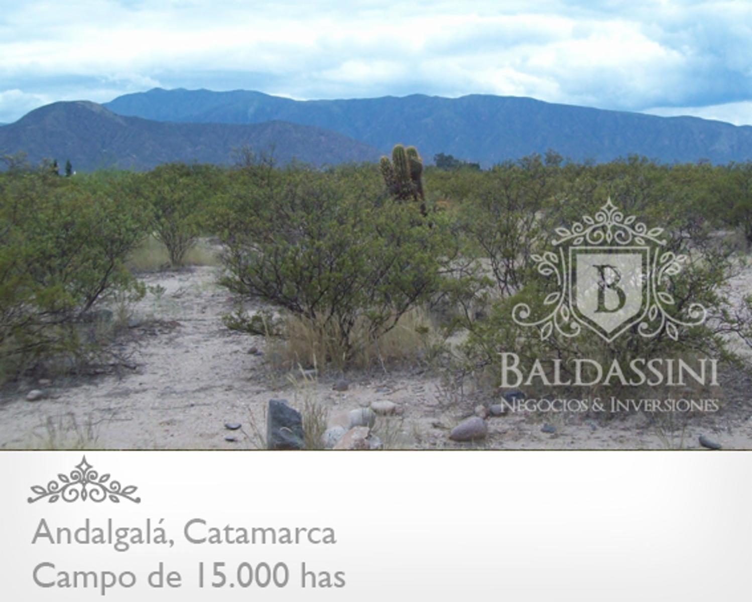 CAMPO DE 15.000 HAS EN ANDALGALÁ - CATAMARCA CERCA DE LA RUTA 46 - u$s 155 x ha.
Ideal proyecto de Energía - Embotelladora de Agua Mineral - 3
