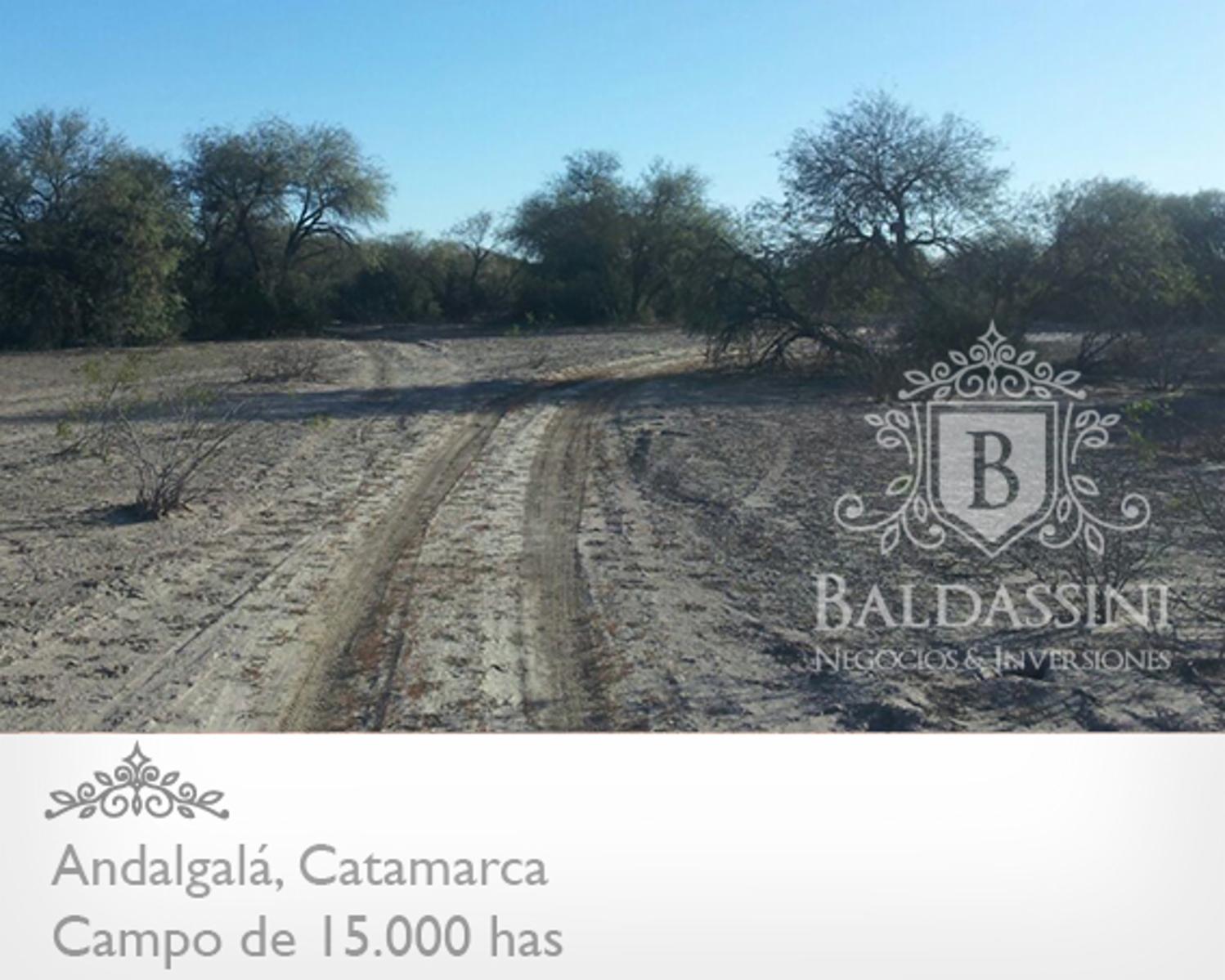 CAMPO DE 15.000 HAS EN ANDALGALÁ - CATAMARCA CERCA DE LA RUTA 46 - u$s 155 x ha.
Ideal proyecto de Energía - Embotelladora de Agua Mineral - 4