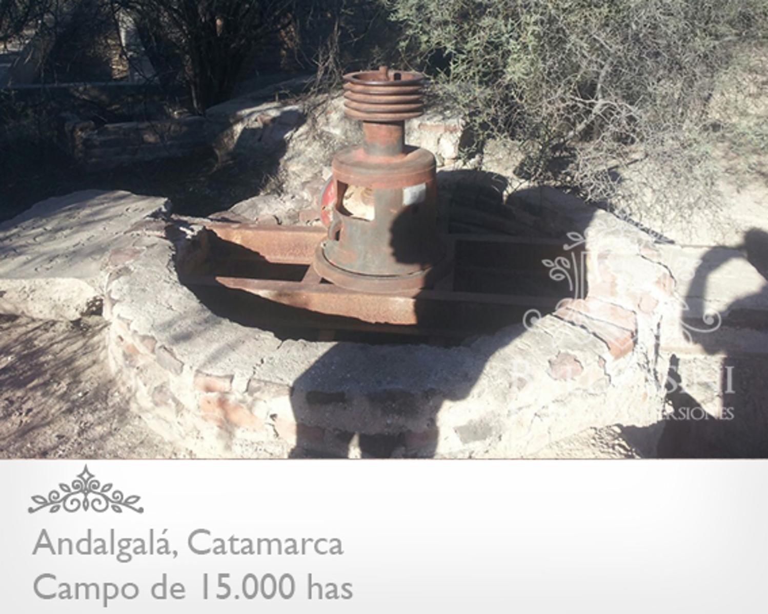 CAMPO DE 15.000 HAS EN ANDALGALÁ - CATAMARCA CERCA DE LA RUTA 46 - u$s 155 x ha.
Ideal proyecto de Energía - Embotelladora de Agua Mineral - 5