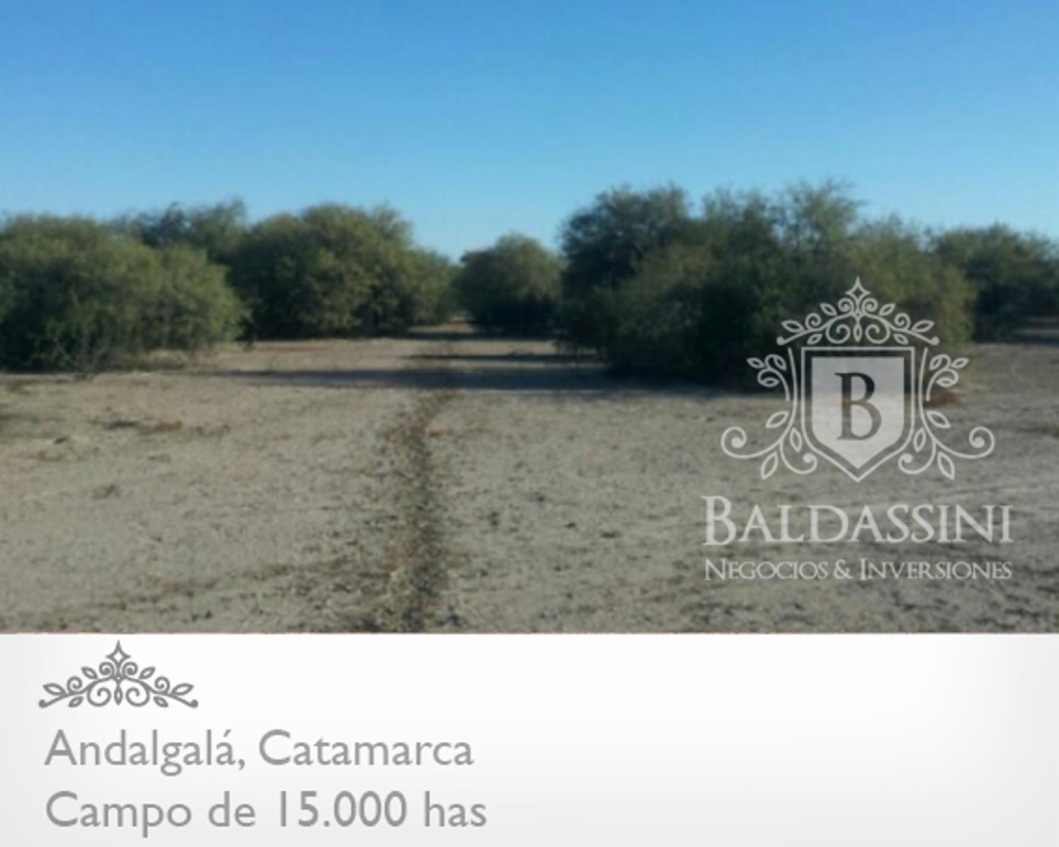CAMPO DE 15.000 HAS EN ANDALGALÁ - CATAMARCA CERCA DE LA RUTA 46 - u$s 155 x ha.
Ideal proyecto de Energía - Embotelladora de Agua Mineral - 6