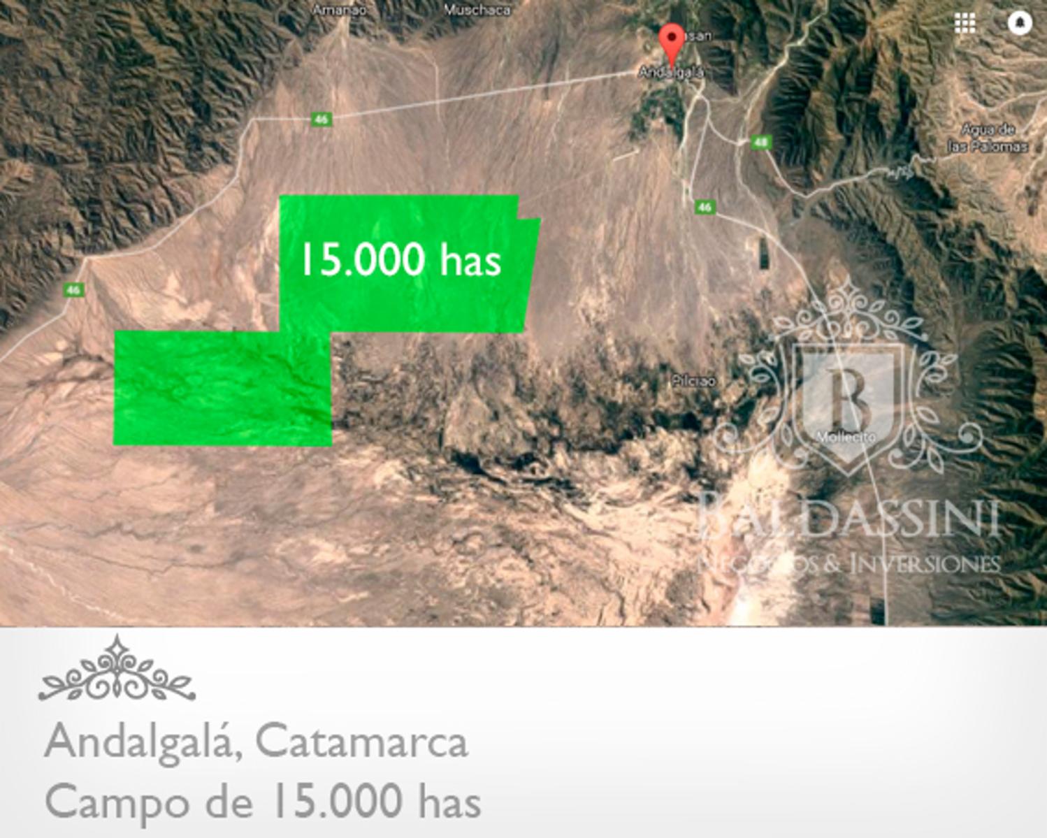 CAMPO DE 15.000 HAS EN ANDALGALÁ - CATAMARCA CERCA DE LA RUTA 46 - u$s 155 x ha.
Ideal proyecto de Energía - Embotelladora de Agua Mineral - 7