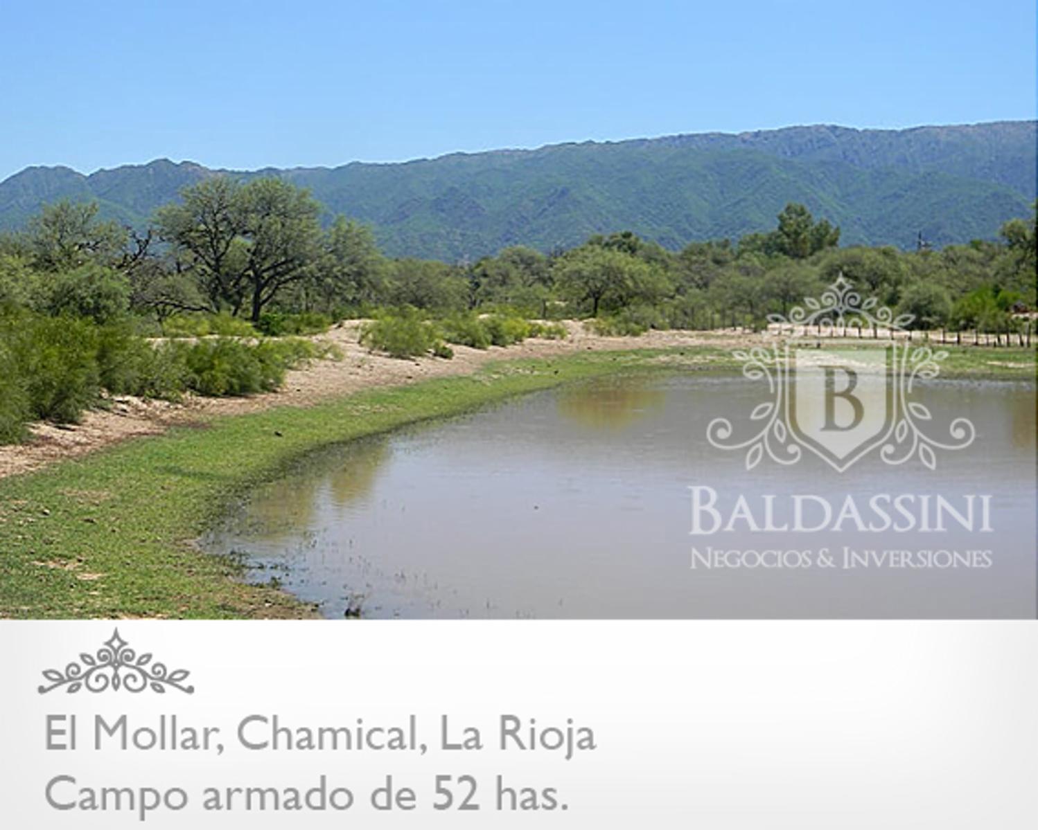 CAMPO ARMADO DE 52 HAS - ZONA EL MOLLAR - CHAMICAL - LA RIOJA - 2