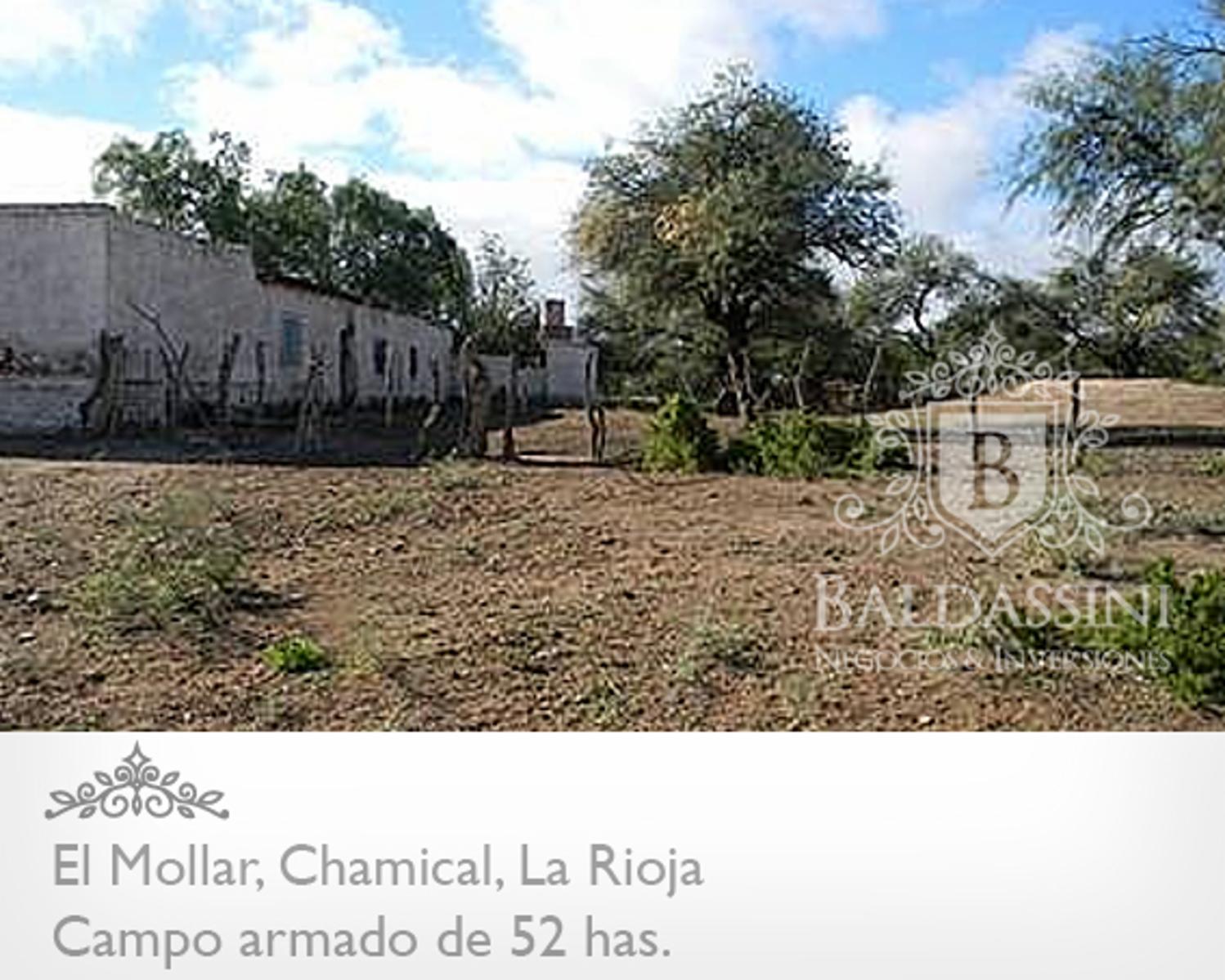CAMPO ARMADO DE 52 HAS - ZONA EL MOLLAR - CHAMICAL - LA RIOJA - 4