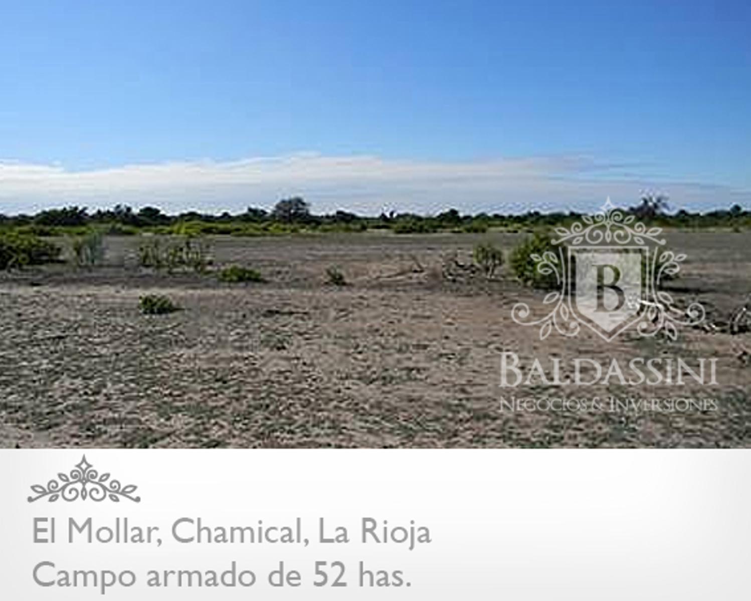 CAMPO ARMADO DE 52 HAS - ZONA EL MOLLAR - CHAMICAL - LA RIOJA - 5