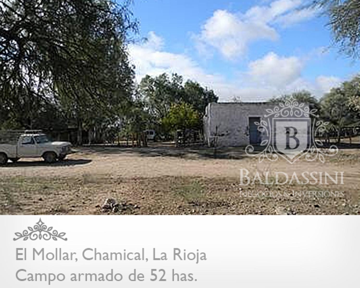 CAMPO ARMADO DE 52 HAS - ZONA EL MOLLAR - CHAMICAL - LA RIOJA - 7