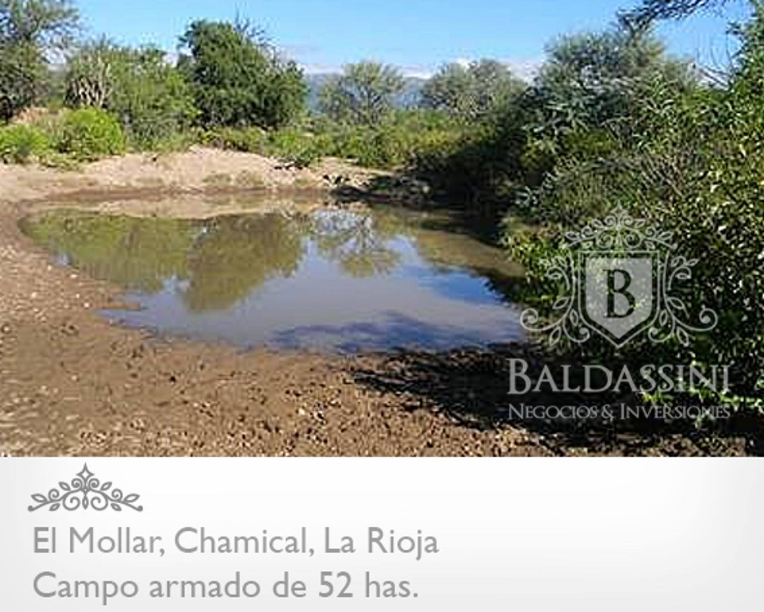 CAMPO ARMADO DE 52 HAS - ZONA EL MOLLAR - CHAMICAL - LA RIOJA - 8