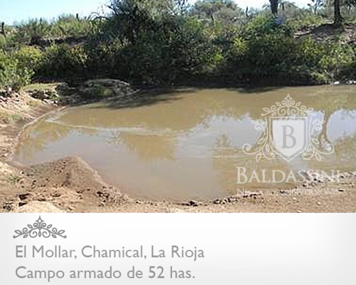 CAMPO ARMADO DE 52 HAS - ZONA EL MOLLAR - CHAMICAL - LA RIOJA - 10