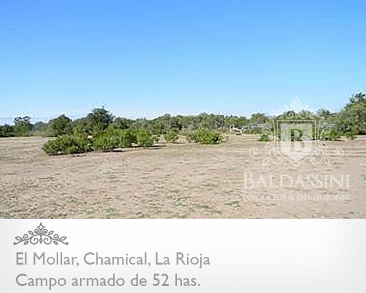 CAMPO ARMADO DE 52 HAS - ZONA EL MOLLAR - CHAMICAL - LA RIOJA - 11