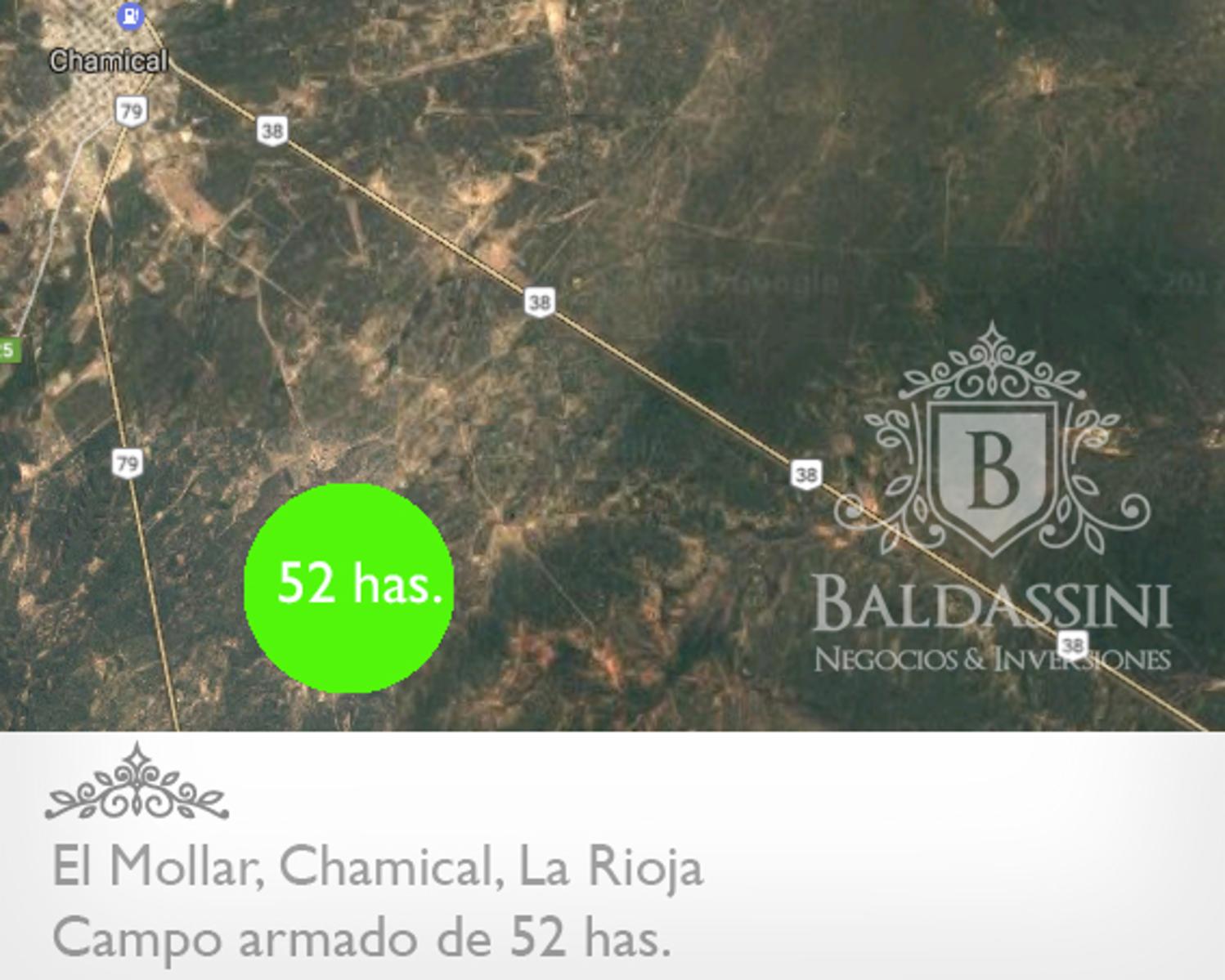 CAMPO ARMADO DE 52 HAS - ZONA EL MOLLAR - CHAMICAL - LA RIOJA - 12
