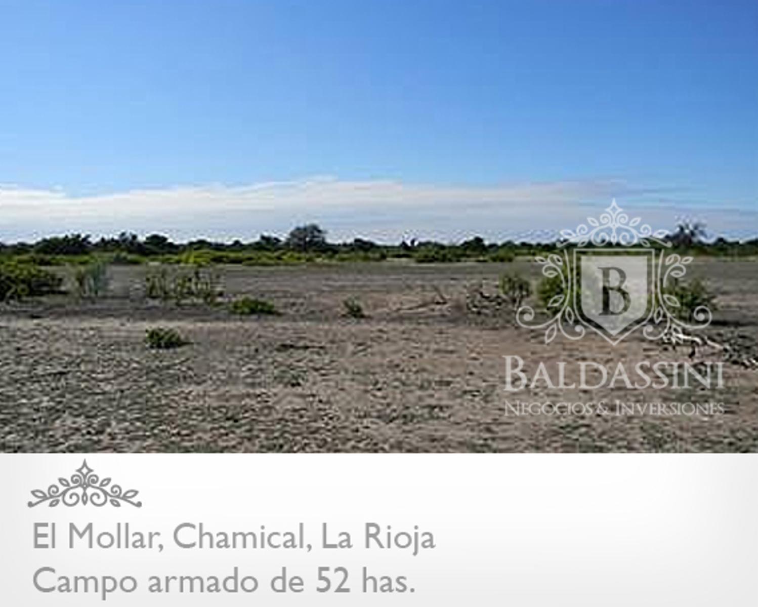 CAMPO ARMADO DE 52 HAS - ZONA EL MOLLAR - CHAMICAL - LA RIOJA - 13