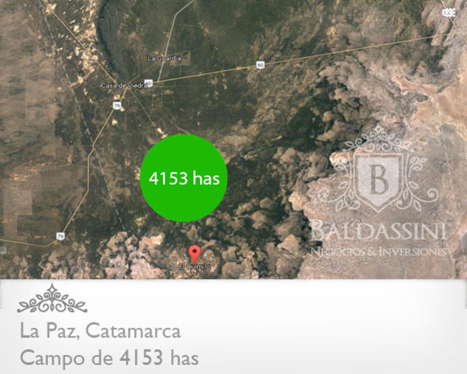 CAMPO DE 4153 HAS EN DEPARTAMENTO LA PAZ, CATAMARCA, SOBRE RUTA PROVINCIAL Nº 8 - 1