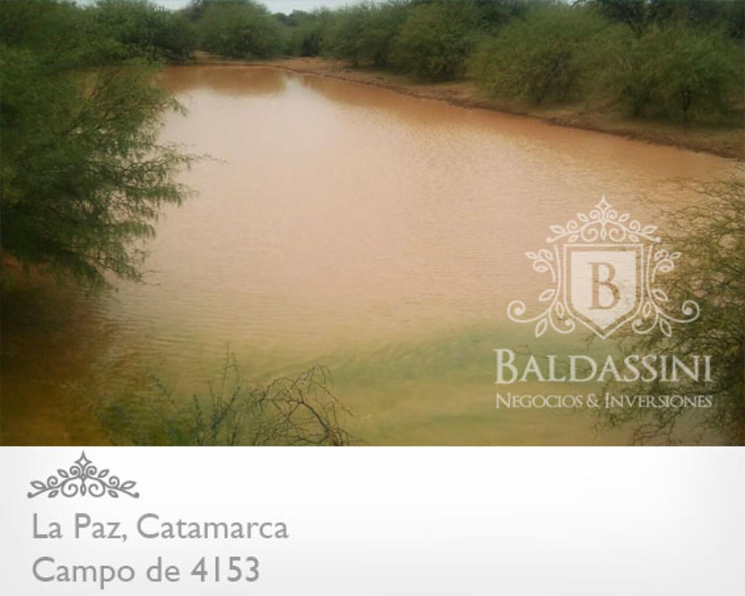 CAMPO DE 4153 HAS EN DEPARTAMENTO LA PAZ, CATAMARCA, SOBRE RUTA PROVINCIAL Nº 8 - 3