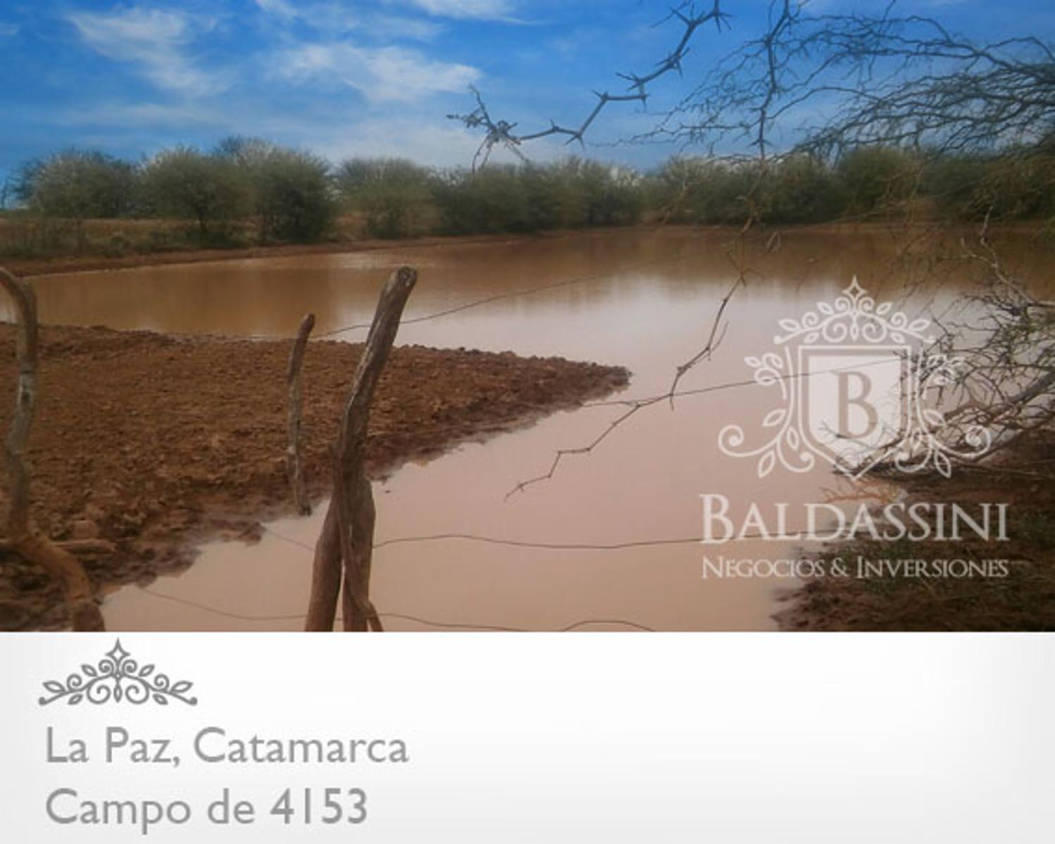 CAMPO DE 4153 HAS EN DEPARTAMENTO LA PAZ, CATAMARCA, SOBRE RUTA PROVINCIAL Nº 8 - 4