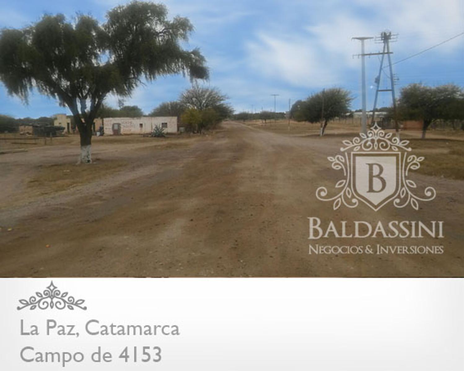 CAMPO DE 4153 HAS EN DEPARTAMENTO LA PAZ, CATAMARCA, SOBRE RUTA PROVINCIAL Nº 8 - 5