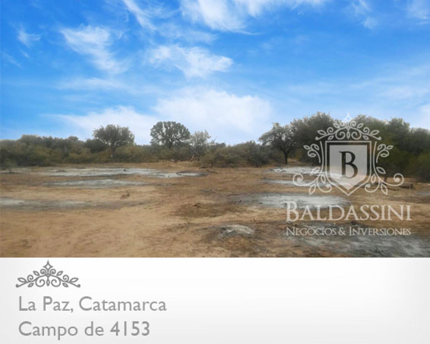 CAMPO DE 4153 HAS EN DEPARTAMENTO LA PAZ, CATAMARCA, SOBRE RUTA PROVINCIAL Nº 8 - 6