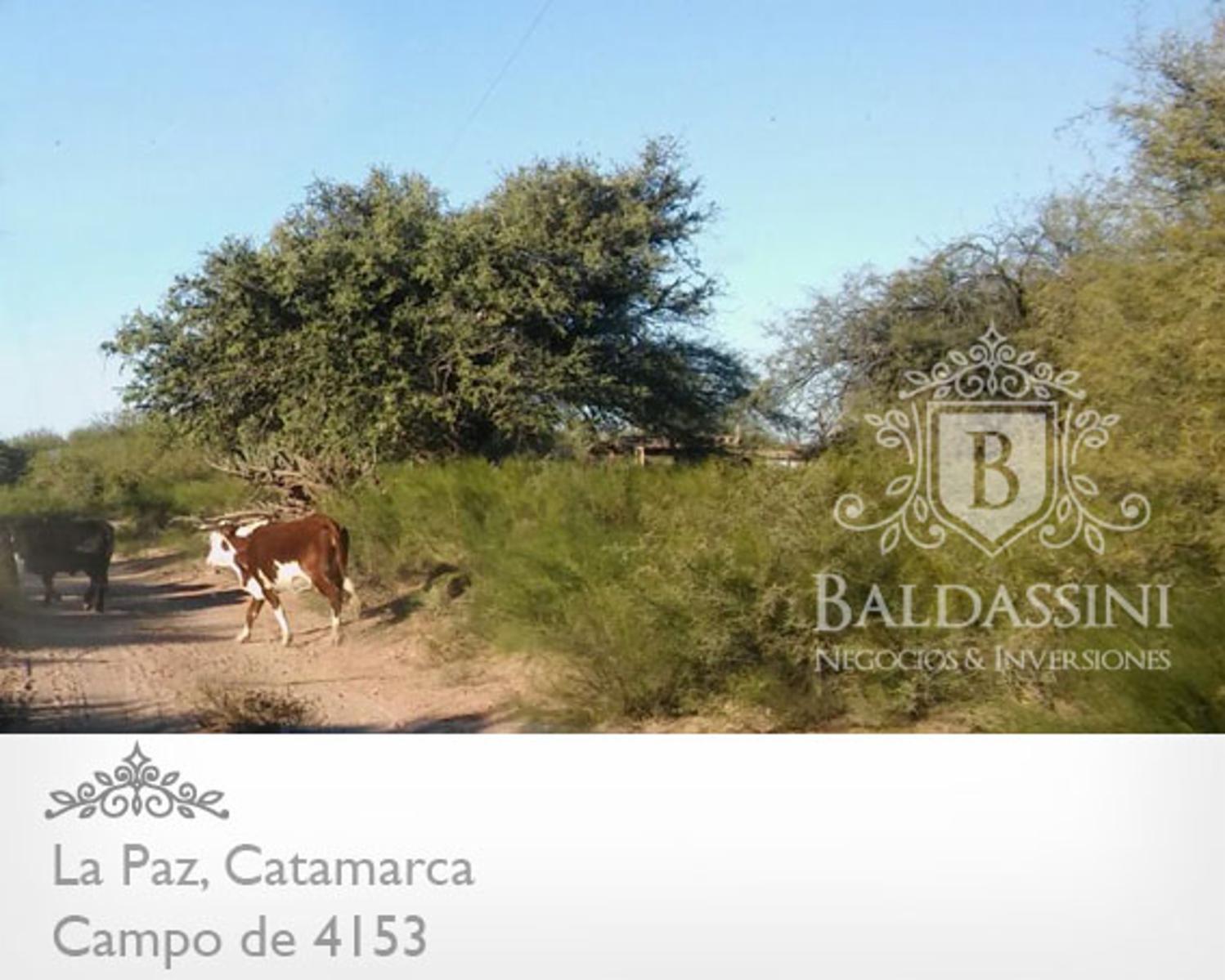 CAMPO DE 4153 HAS EN DEPARTAMENTO LA PAZ, CATAMARCA, SOBRE RUTA PROVINCIAL Nº 8 - 8