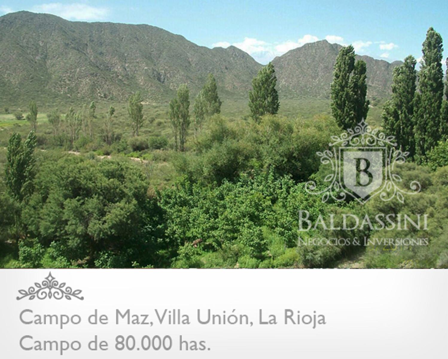 CAMPO DE 80.000 HAS. - 2
