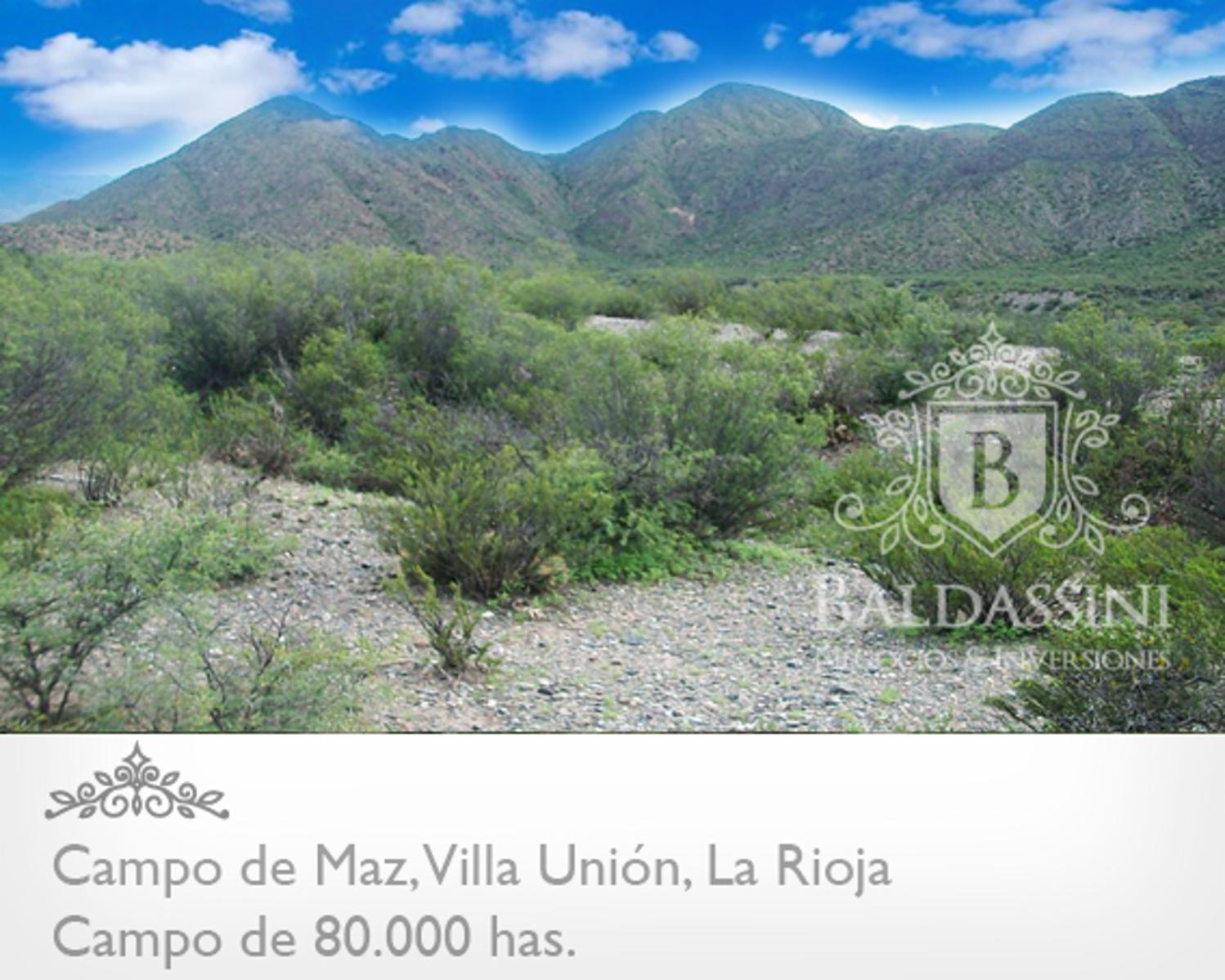 CAMPO DE 80.000 HAS. - 3