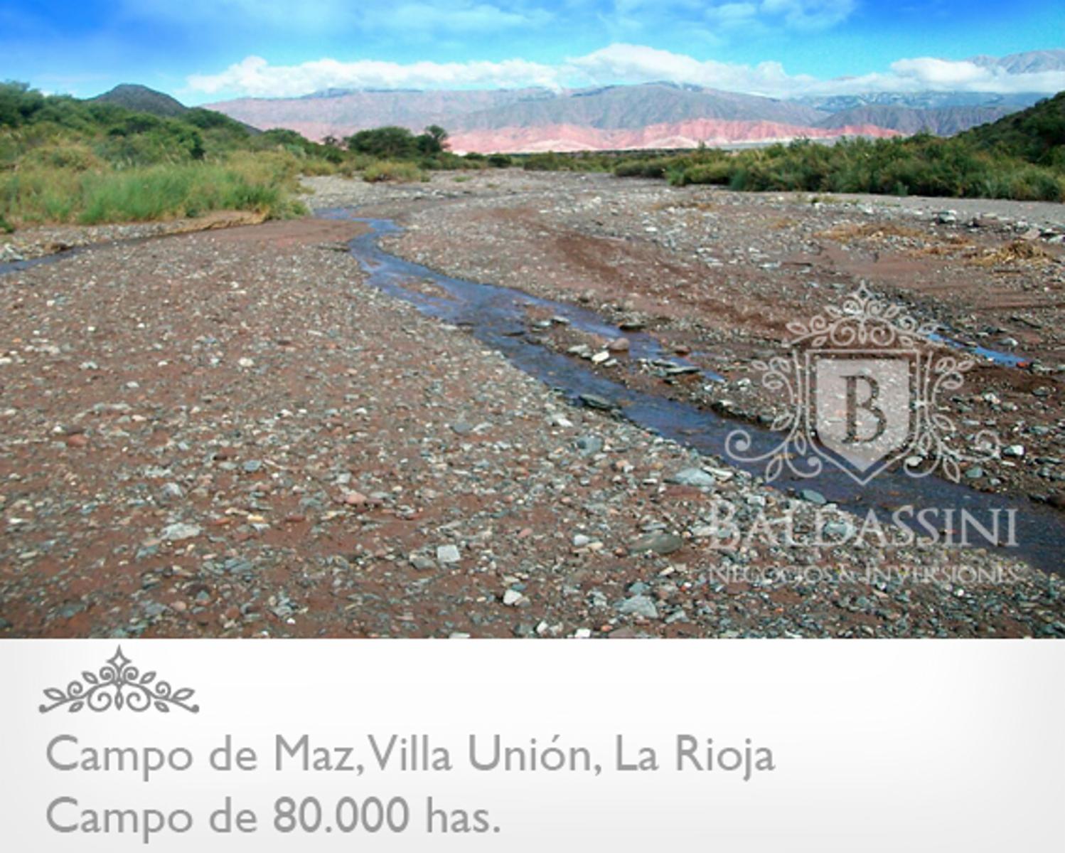 CAMPO DE 80.000 HAS. - 4
