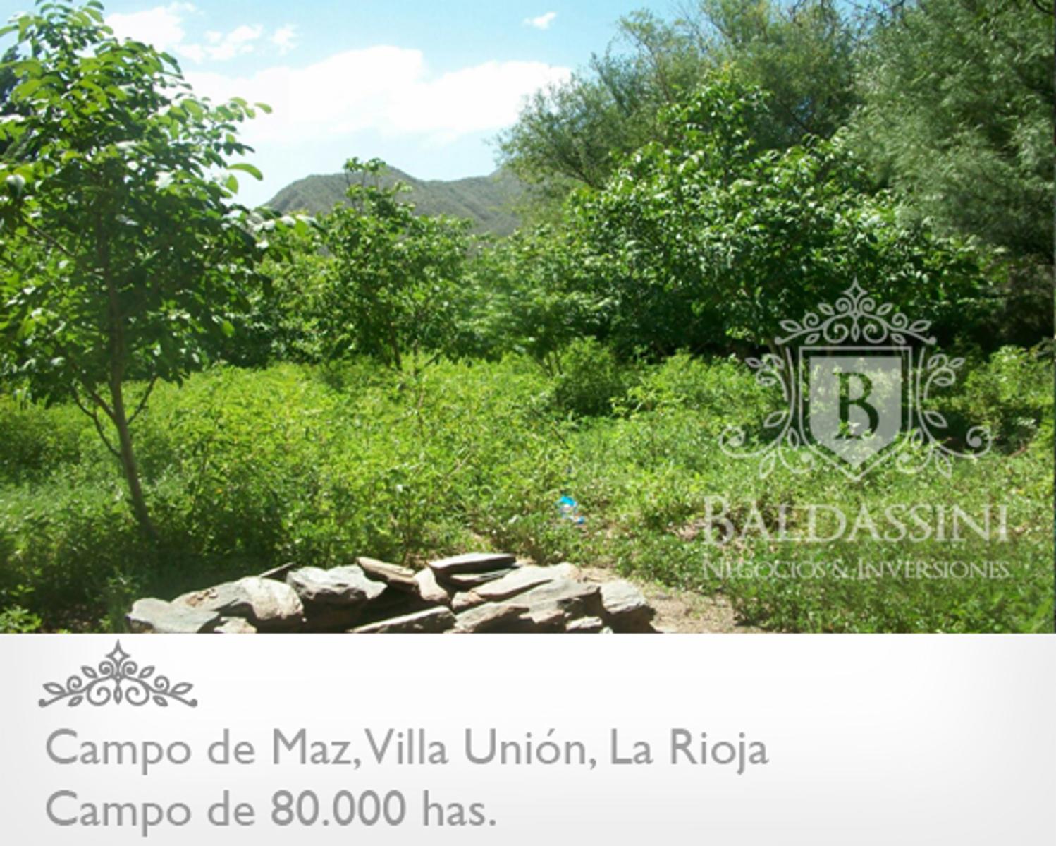 CAMPO DE 80.000 HAS. - 5