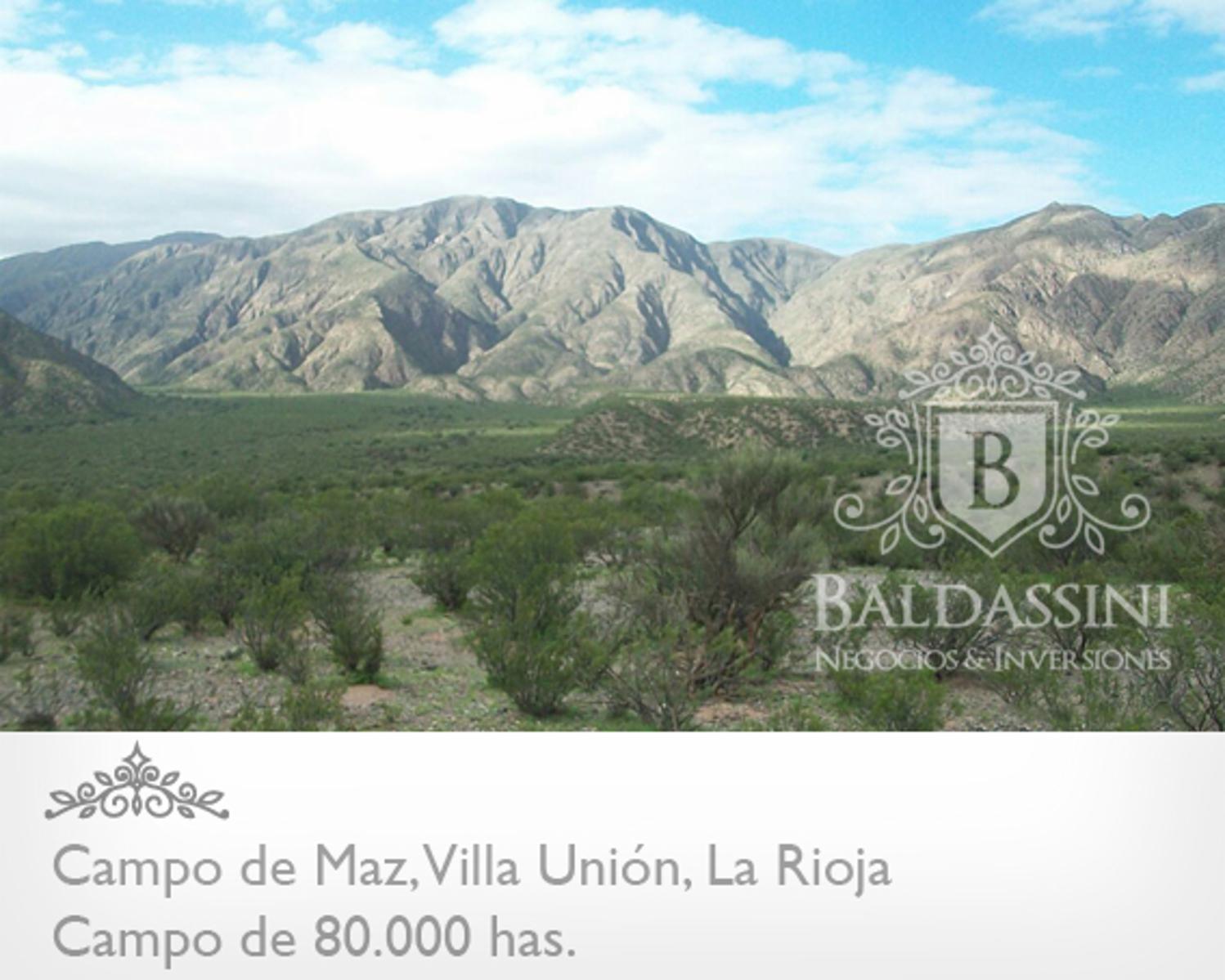 CAMPO DE 80.000 HAS. - 6