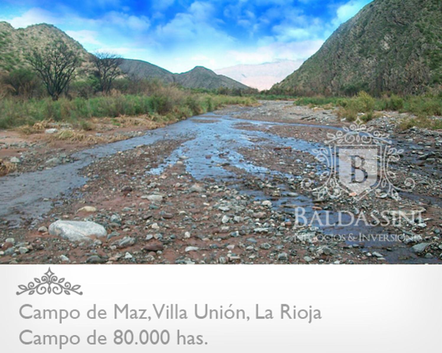 CAMPO DE 80.000 HAS. - 7