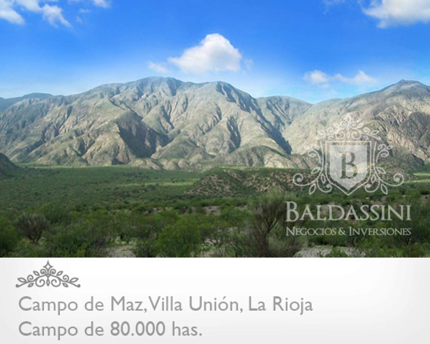 CAMPO DE 80.000 HAS. - 8