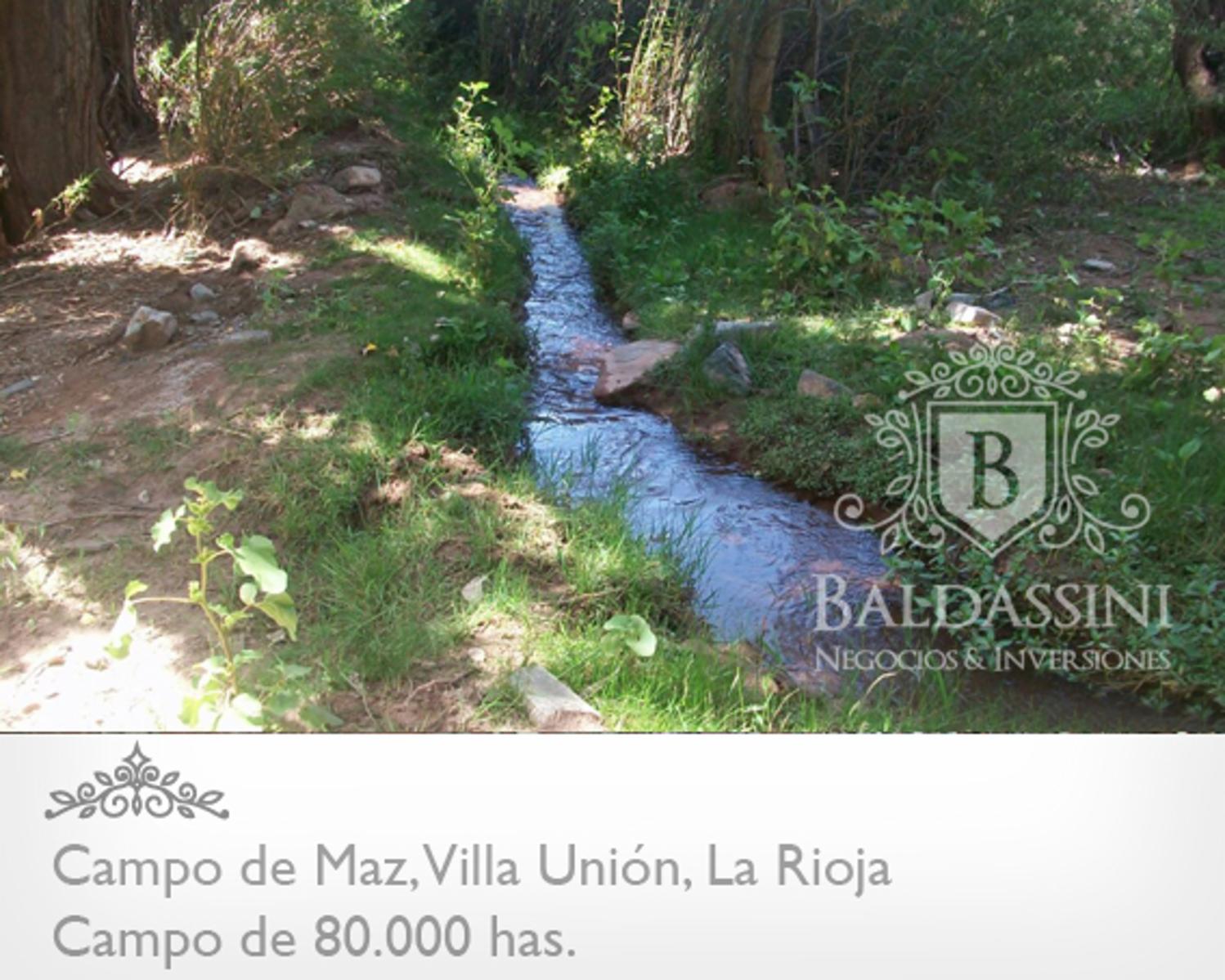 CAMPO DE 80.000 HAS. - 9