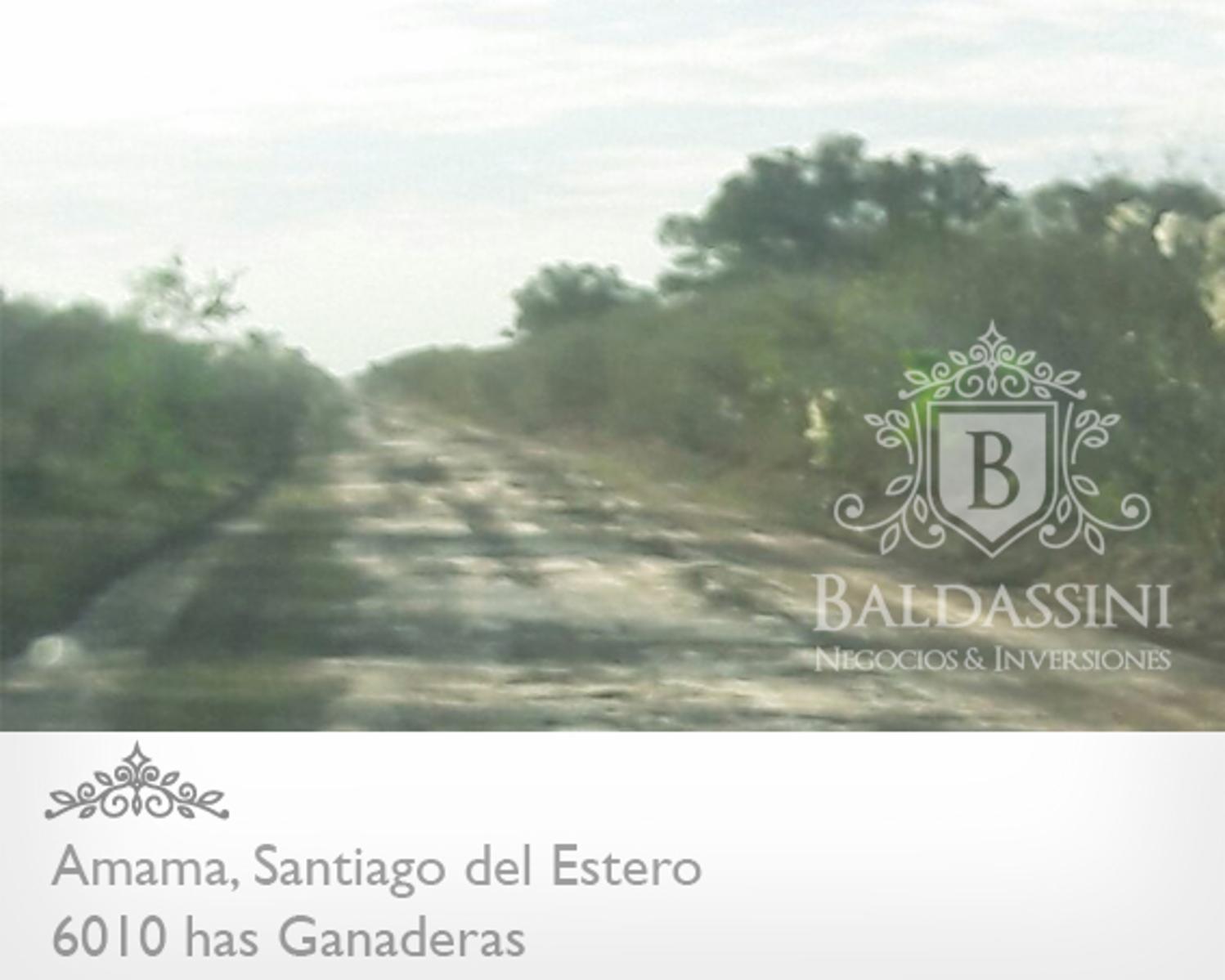 CAMPO GANADERO DE 6010 HAS EN AMAMA (9 DE JULIO) SOBRE LA CONTINUACIÓN DE RUTA 103 Y RUTA 46 - CAMPO ALAMBRADO - LISTO PARA ESCRITURAR. 400 HAS CON GATTON PANIC. - 1