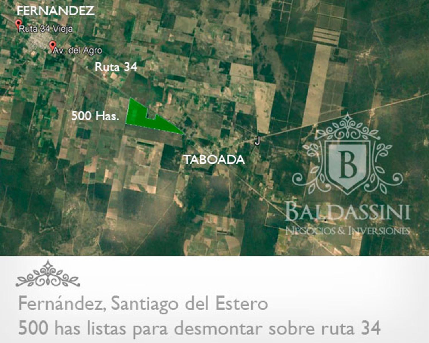 CAMPO DE 500 HAS ENTRE FERNÁNDEZ Y TABOADA SOBRE RUTA 34 - SANTIAGO DEL ESTERO. CON PERMISO DE DESMONTE DEL 90 % - 1