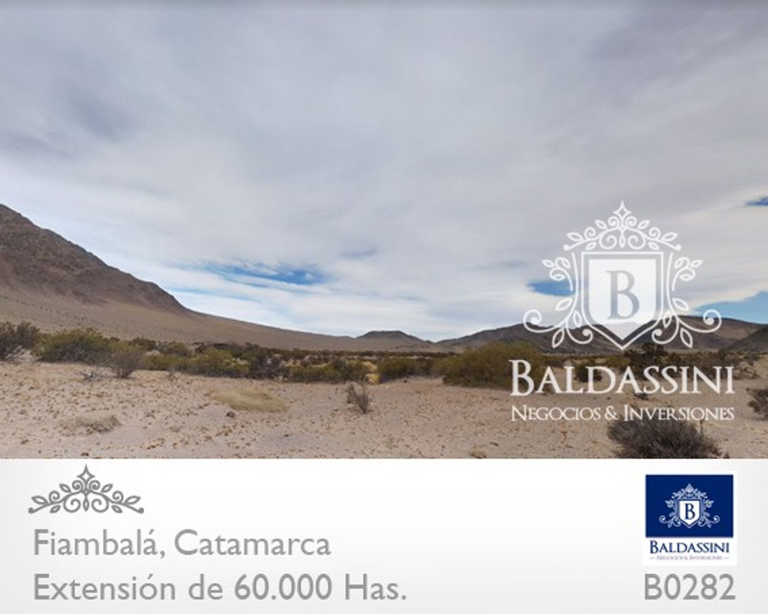 Campo 60.000 ha. Fiambalá, Catamarca - 2