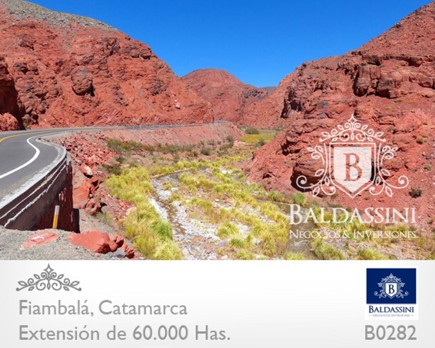 Campo 60.000 ha. Fiambalá, Catamarca - 3