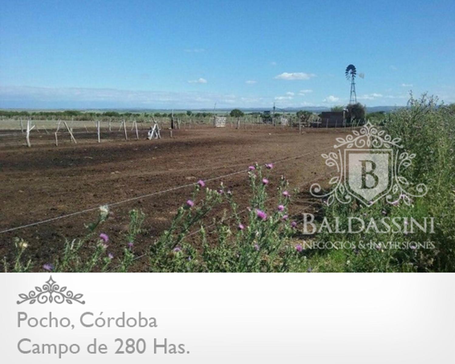 CAMPO MIXTO DE 280 HAS EN PAMPA DE POCHO - LISTO PARA INICIAR LA ESCRITURACIÓN - 2