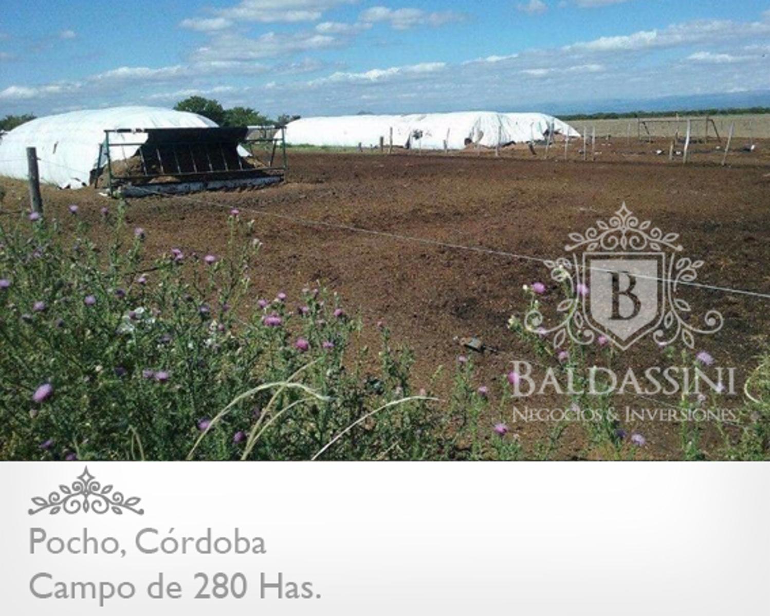 CAMPO MIXTO DE 280 HAS EN PAMPA DE POCHO - LISTO PARA INICIAR LA ESCRITURACIÓN - 3