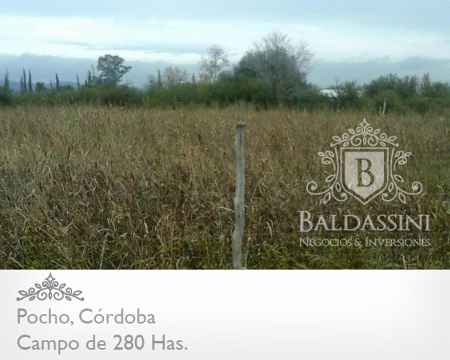 CAMPO MIXTO DE 280 HAS EN PAMPA DE POCHO - LISTO PARA INICIAR LA ESCRITURACIÓN - 4
