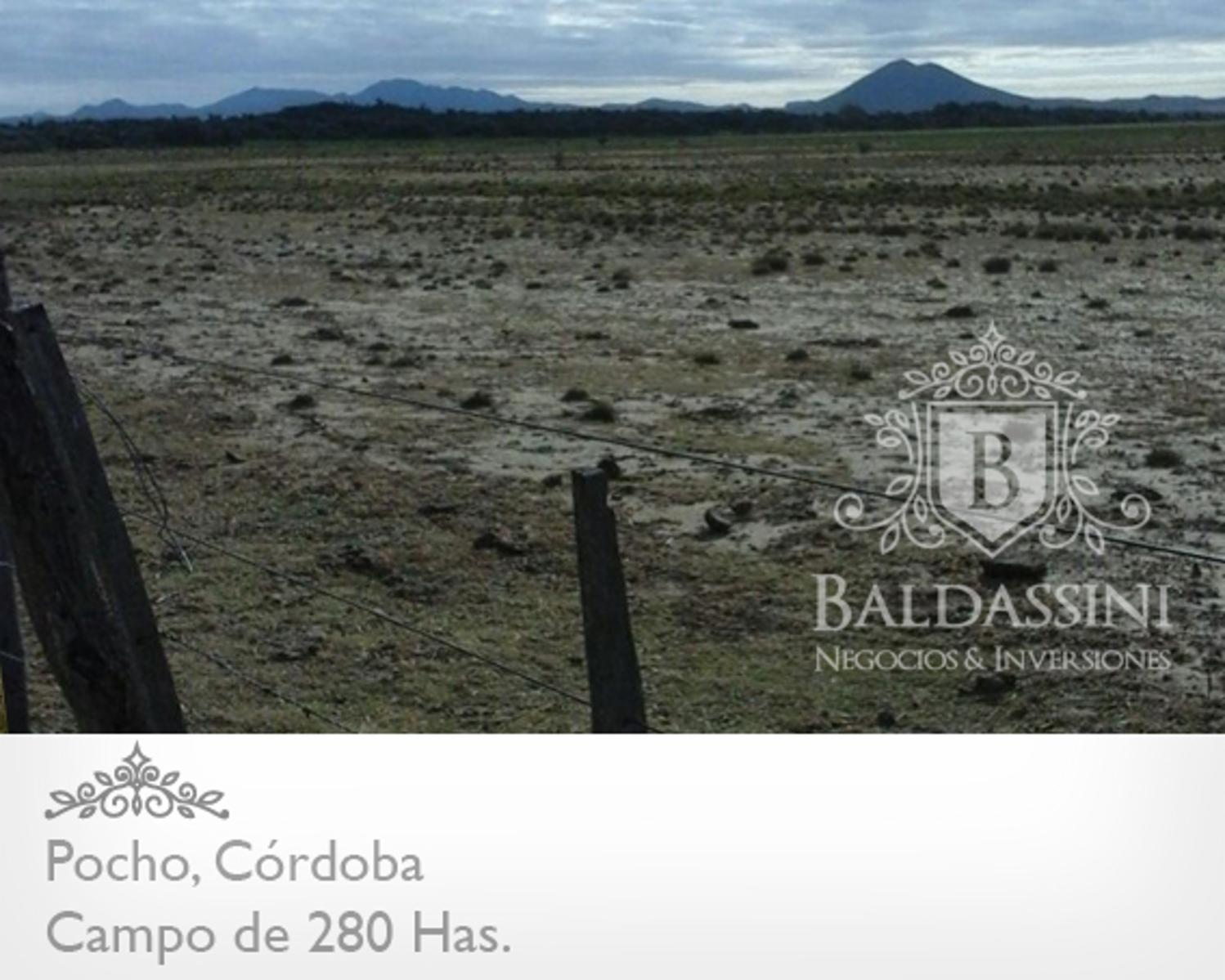 CAMPO MIXTO DE 280 HAS EN PAMPA DE POCHO - LISTO PARA INICIAR LA ESCRITURACIÓN - 5
