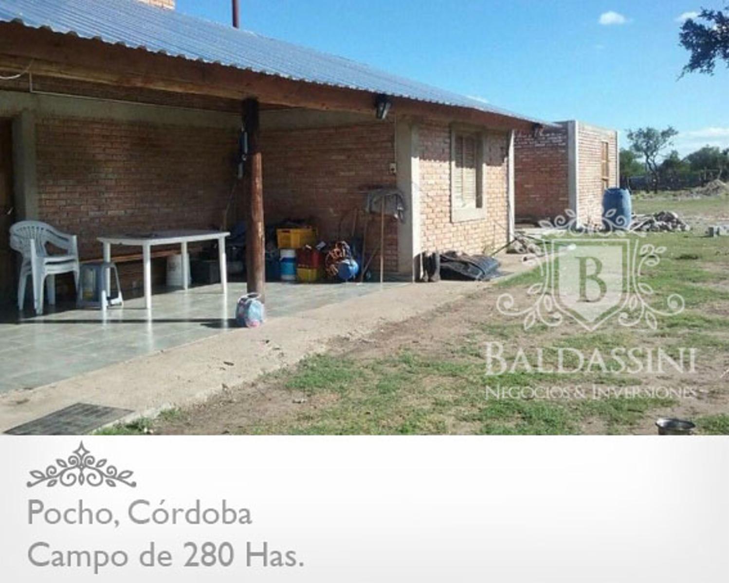CAMPO MIXTO DE 280 HAS EN PAMPA DE POCHO - LISTO PARA INICIAR LA ESCRITURACIÓN - 6