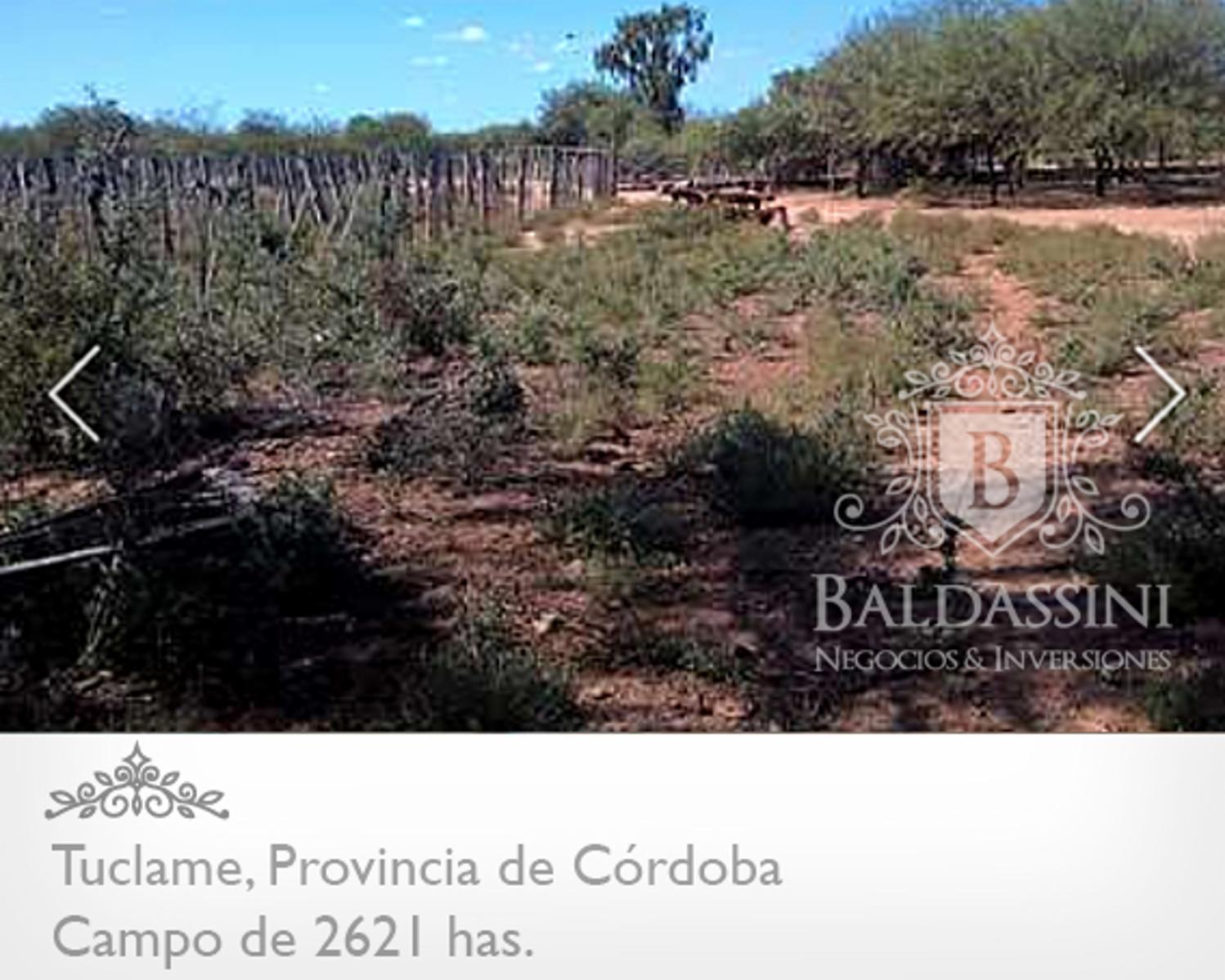 CAMPO GANADERO EN TUCLAME DE 2640 HAS - 3