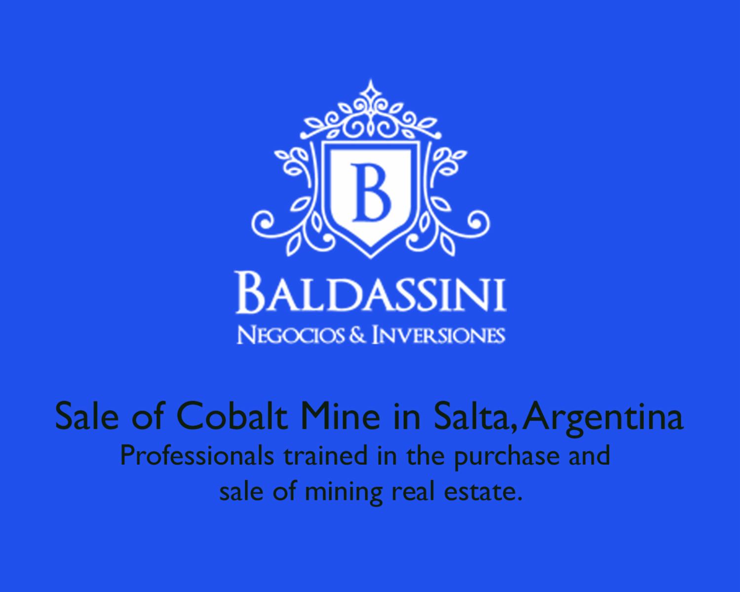 MINA DE COBALTO EN SALTA - MENSURADA + Manganeso, Zinc, Arsénico y Bario - 1
