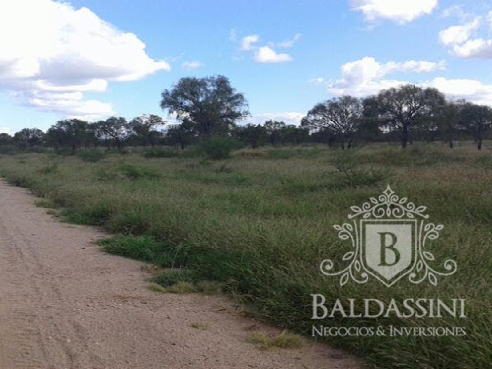 CAMPO A DESARROLLAR DE 4750 HAS SOBRE RUTA PROVINCIAL EN CHAMICAL - LA RIOJA - 1