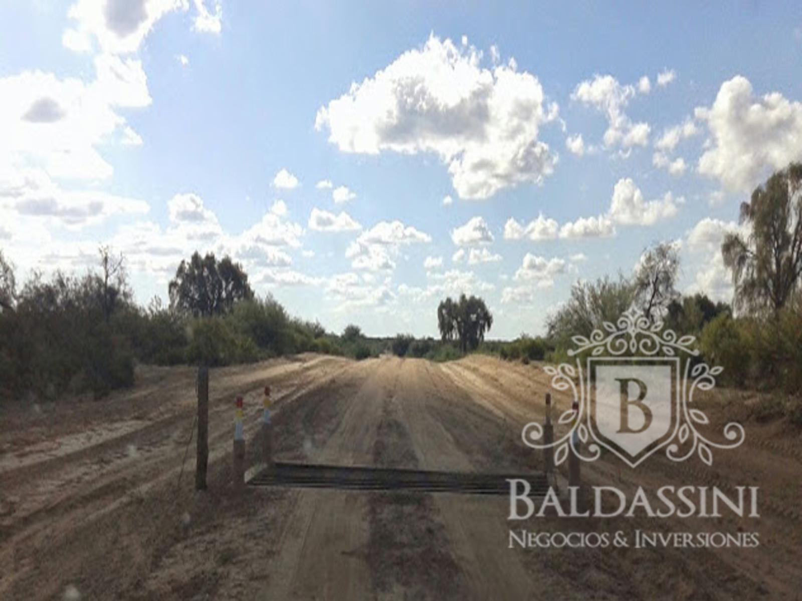 CAMPO A DESARROLLAR DE 4750 HAS SOBRE RUTA PROVINCIAL EN CHAMICAL - LA RIOJA - 8