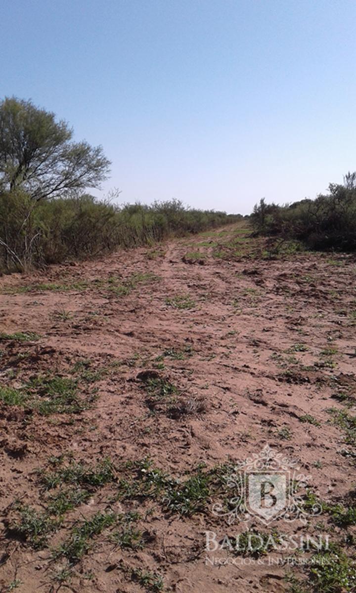 CAMPO GANADERO EN ULAPES- LA RIOJA - IDEAL PARA DESARROLLAR FEEDLOT - OPORTUNIDAD - 2