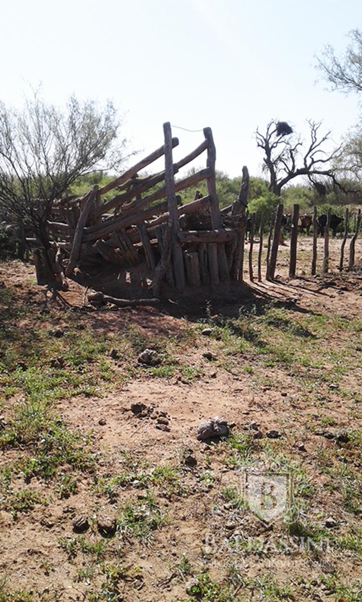 CAMPO GANADERO EN ULAPES- LA RIOJA - IDEAL PARA DESARROLLAR FEEDLOT - OPORTUNIDAD - 8