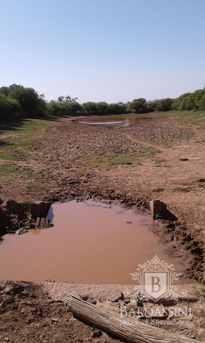 CAMPO GANADERO EN ULAPES- LA RIOJA - IDEAL PARA DESARROLLAR FEEDLOT - OPORTUNIDAD - 9